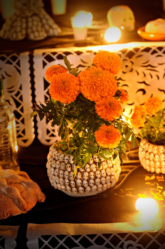 Medium Ivory Skull Flower Pot